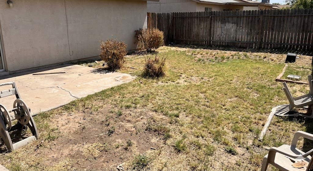 Before Transformation